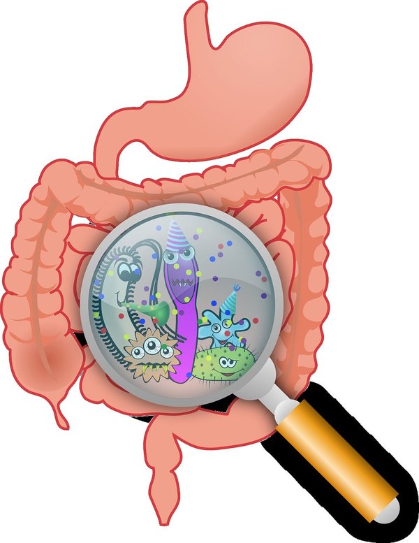 Quels sont les symptomes d'une infection intestinale ?
