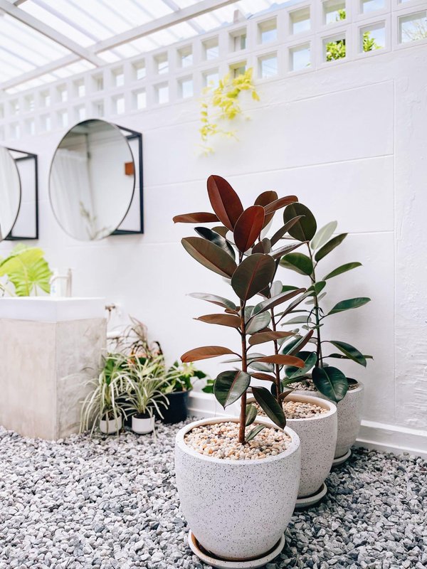 Comment améliorer la qualité de l'air à la maison ?