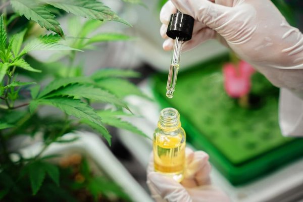 Les remèdes naturels pour un sommeil réparateur