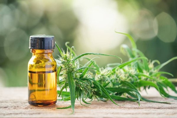Guide pour choisir le meilleur site de vente de cannabidiol en ligne