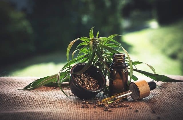 Quel est le mode d’usage adéquat du CBD ?